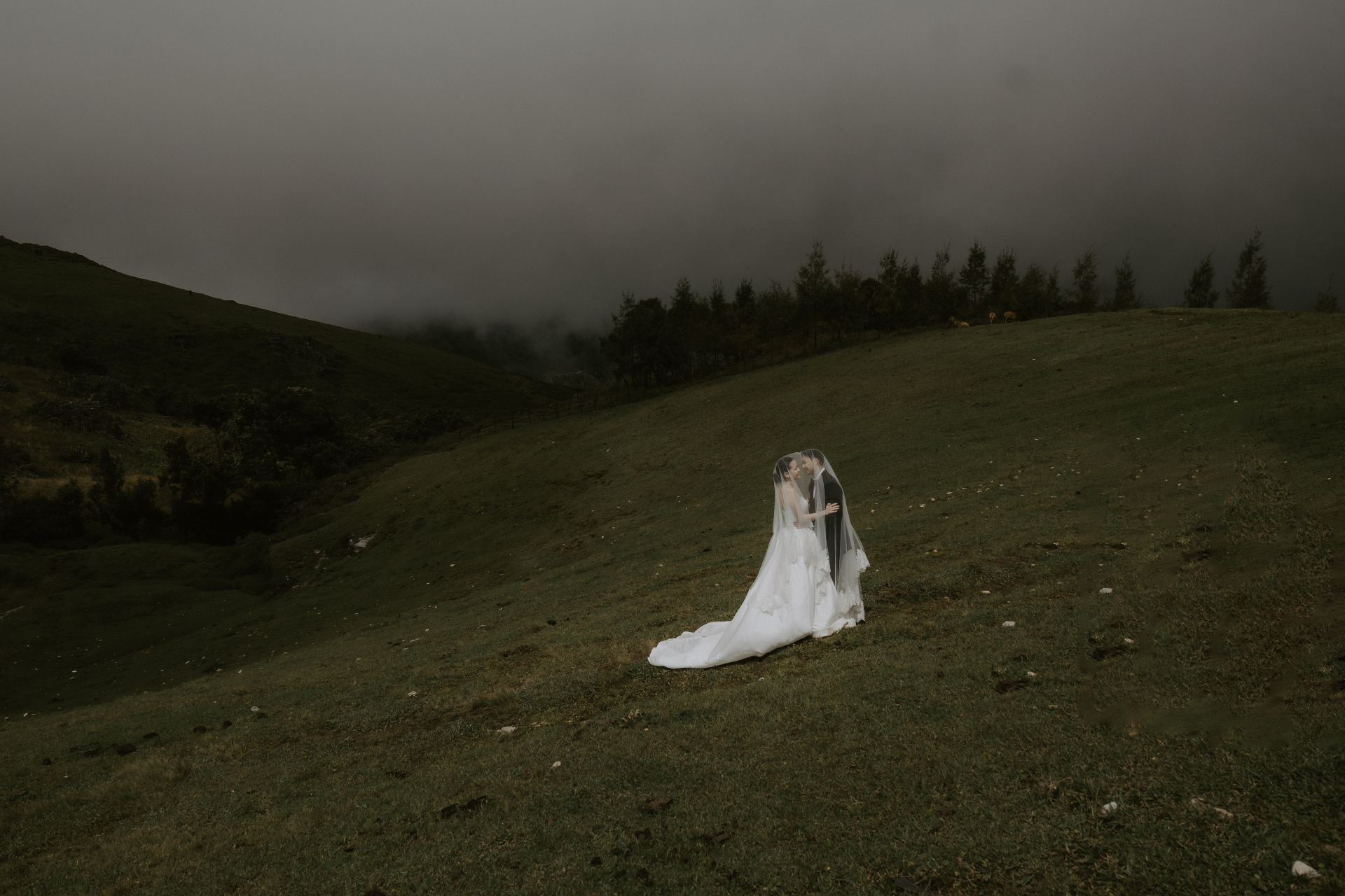 Veiled in the Mist