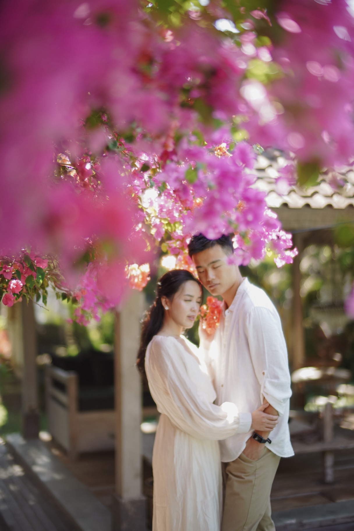 Bougainvillea Embrace